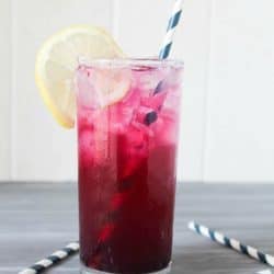 Homemade Blueberry Soda