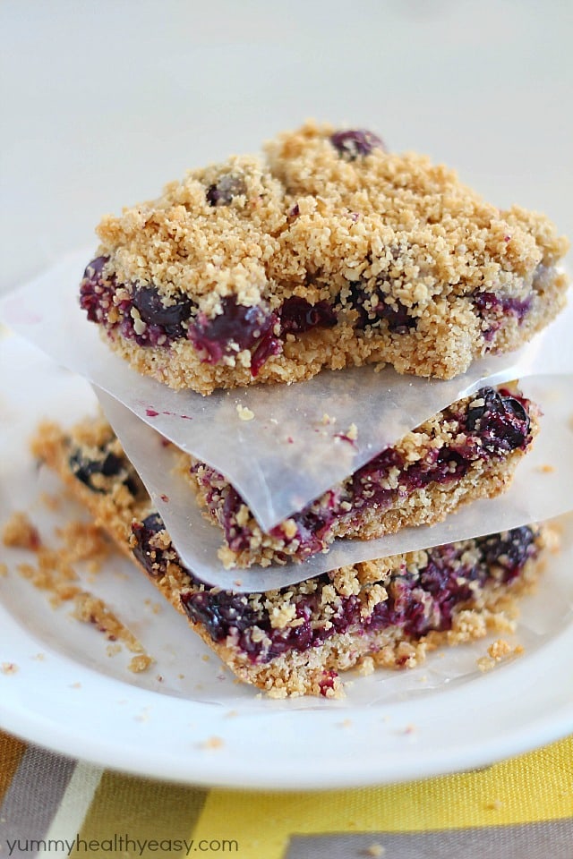 Skinny Blueberry Crumble Bars - a light crust, a layer of blueberries and a crumble topping. So delicious!