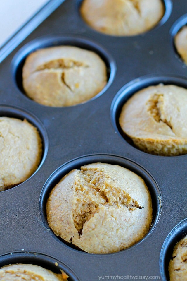 Healthy and easy flourless muffins made using only a blender - no bowls! You will love how moist and flavorful these gluten free muffins are and they're made with NO oil or butter!