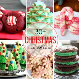 30+ incredible Christmas Cookie Recipes all in one spot! You will definitely find a cookie recipe here that you will love!