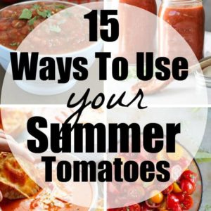 15 tomato recipes to use those summer tomatoes!! Scrumptious ways that you can enjoy your garden fresh tomatoes all summer long!
