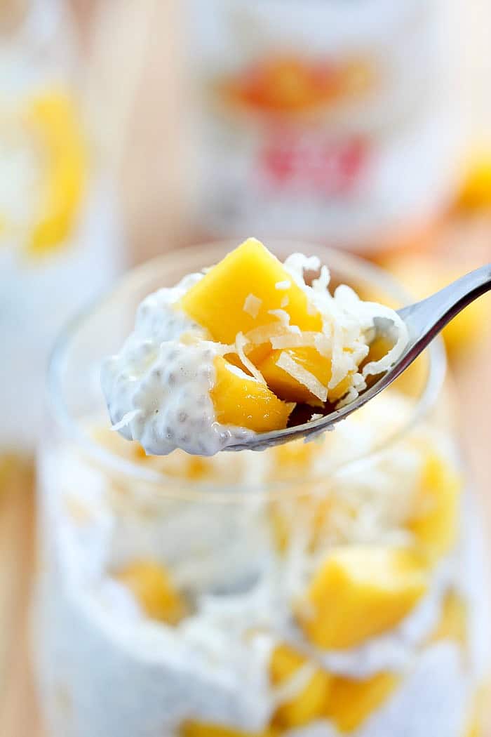 This Peaches and Cream Protein Chia Pudding is a healthy treat filled with chia seeds, protein, greek yogurt and fruit. Super easy to make and delicious!